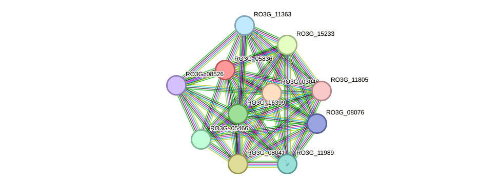 STRING protein interaction network