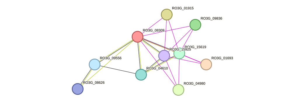 STRING protein interaction network