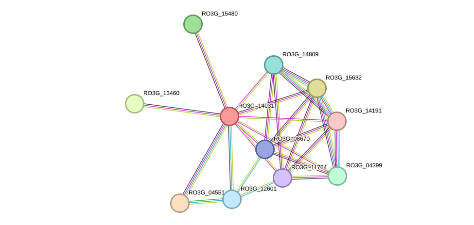 STRING protein interaction network