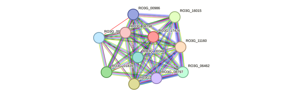 STRING protein interaction network