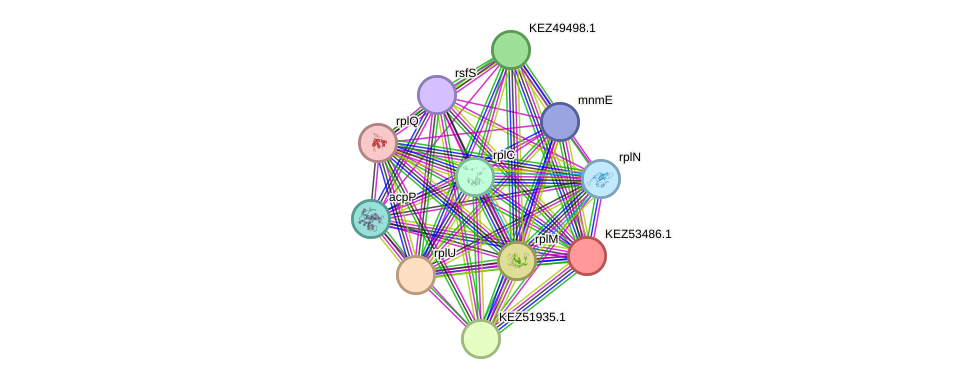 STRING protein interaction network