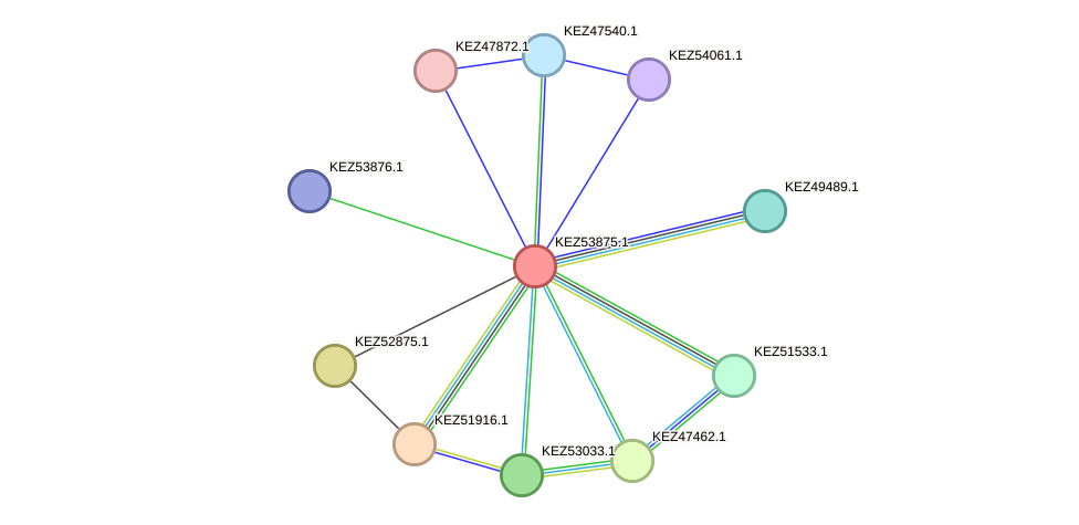 STRING protein interaction network