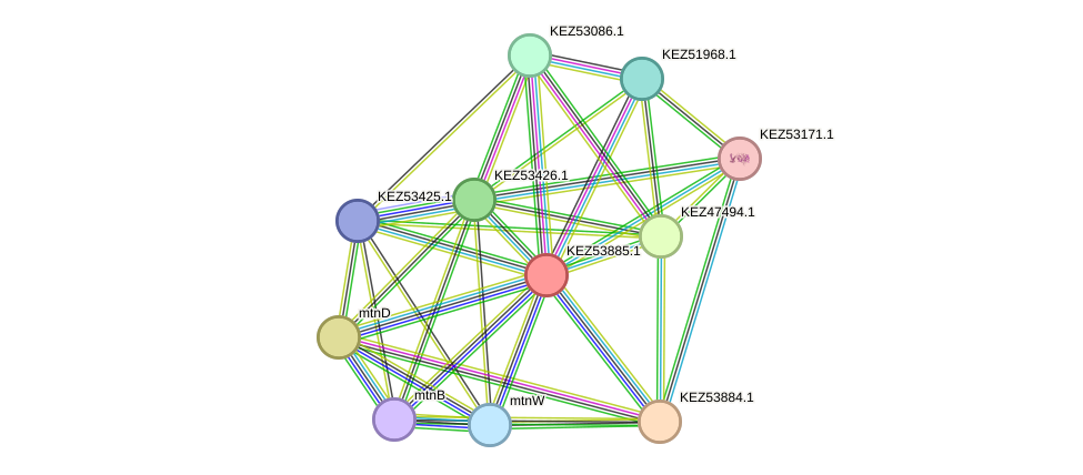STRING protein interaction network