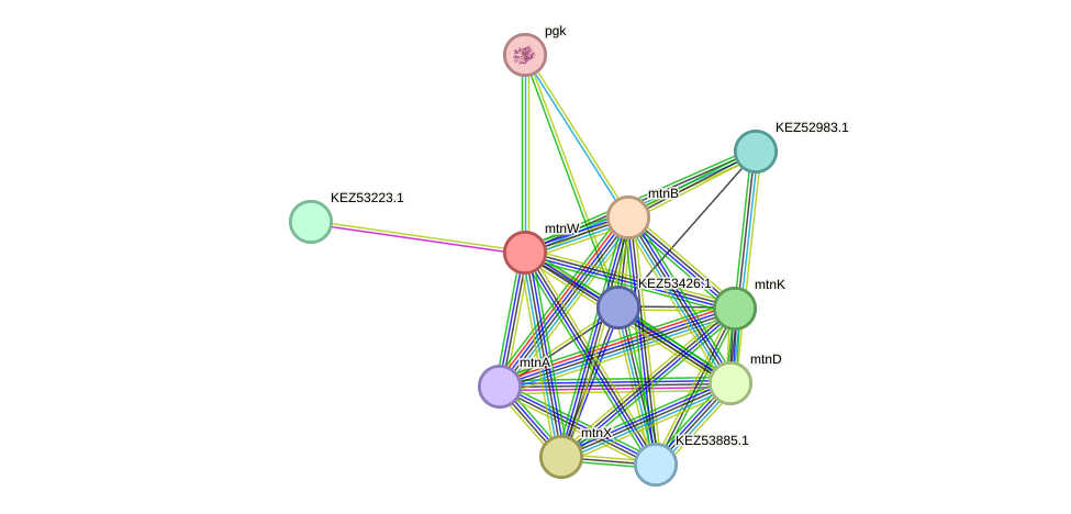 STRING protein interaction network