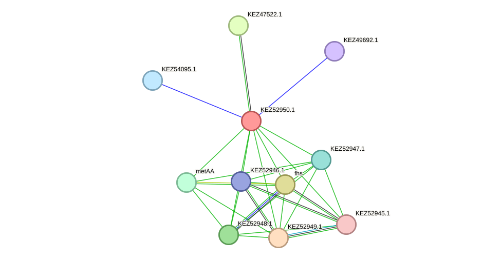 STRING protein interaction network