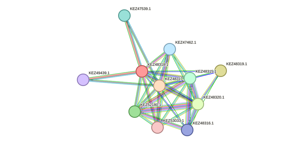 STRING protein interaction network