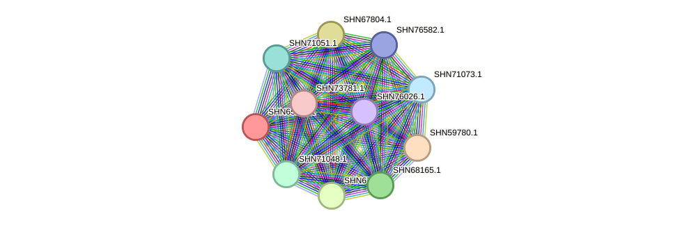 STRING protein interaction network