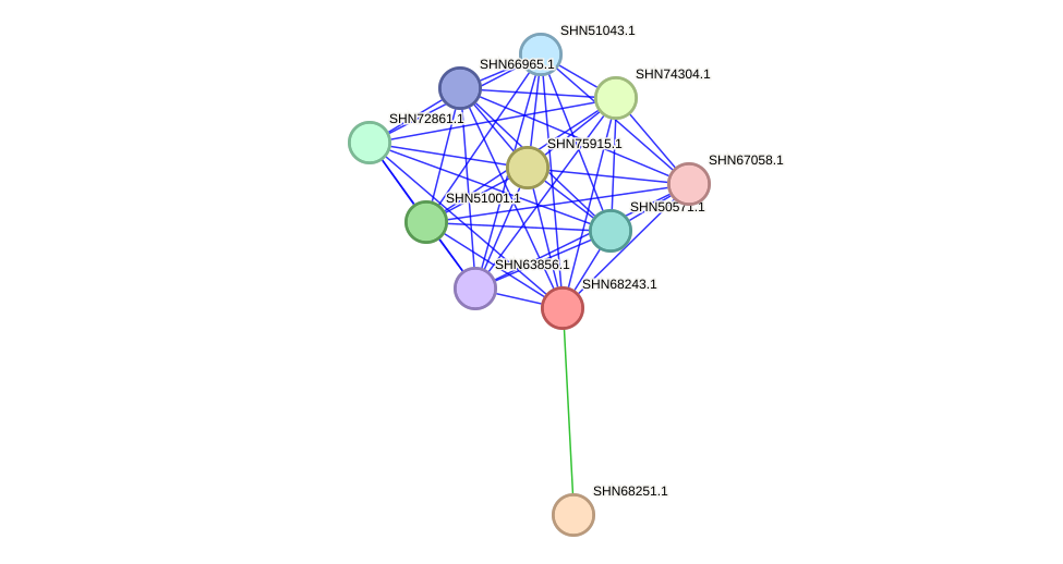 STRING protein interaction network