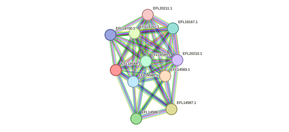 STRING protein interaction network