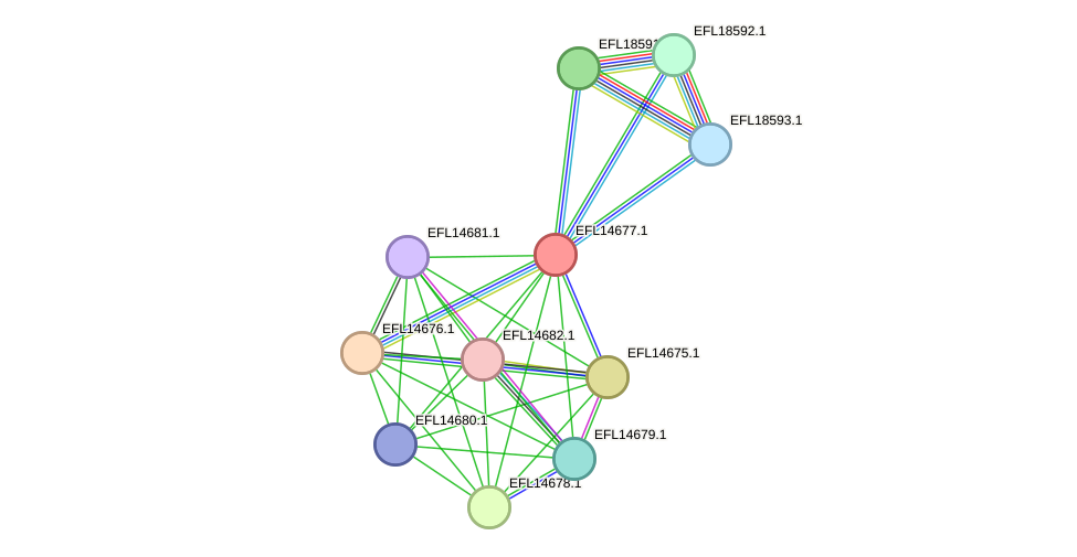 STRING protein interaction network