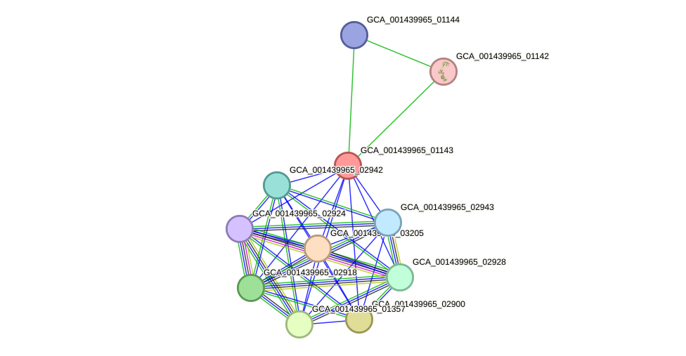 STRING protein interaction network