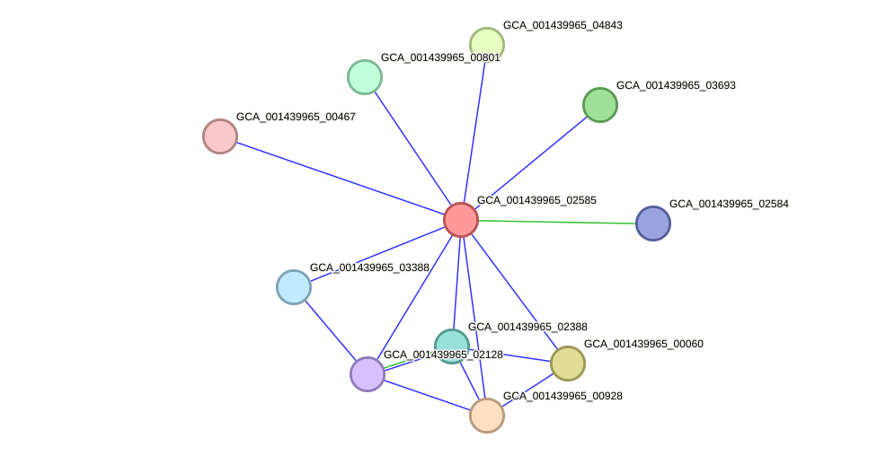 STRING protein interaction network