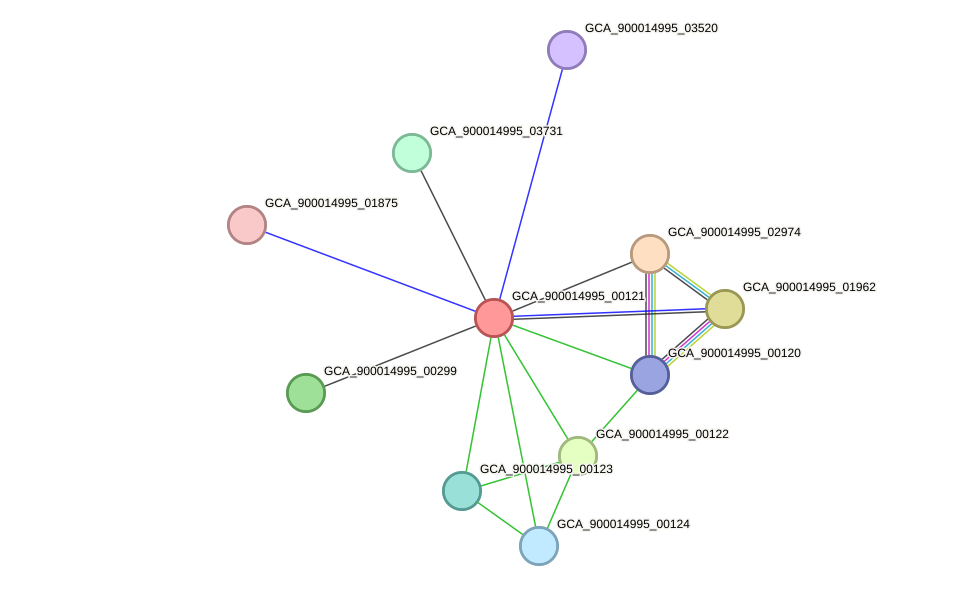 STRING protein interaction network