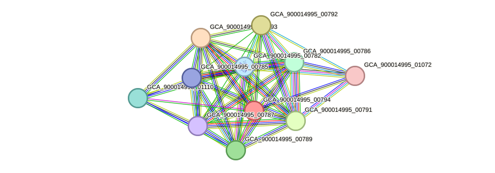 STRING protein interaction network