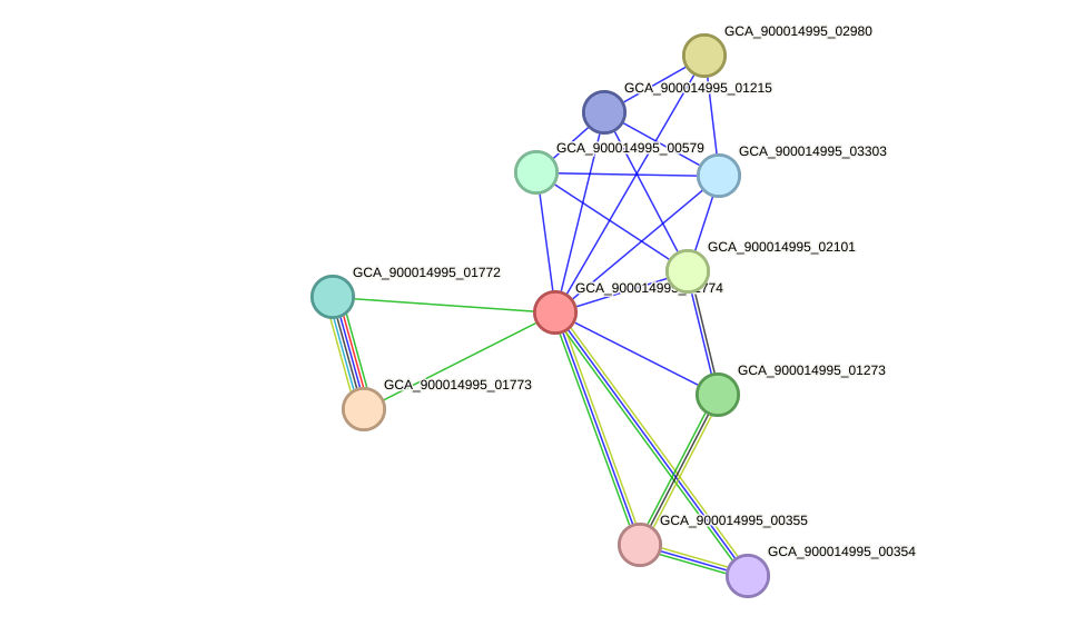 STRING protein interaction network