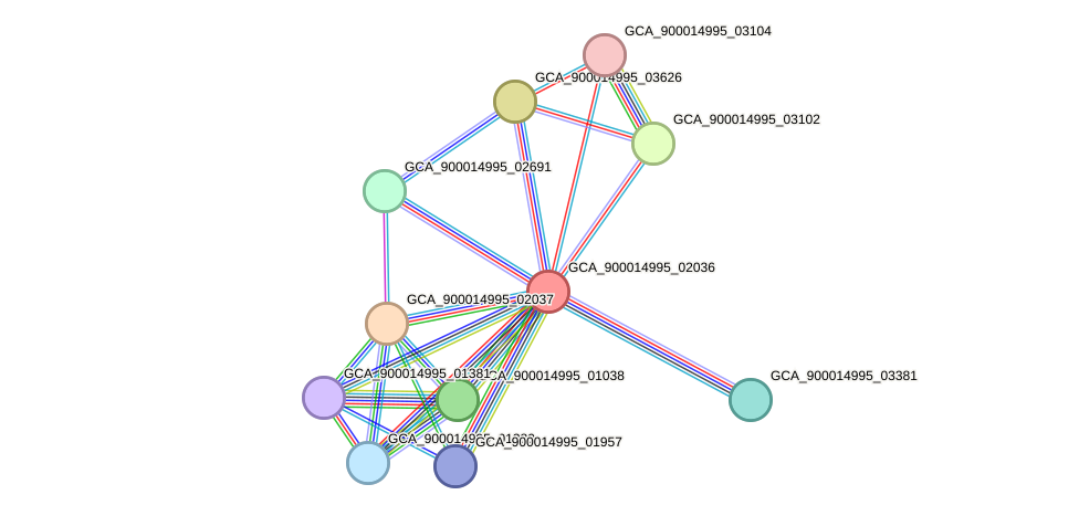 STRING protein interaction network