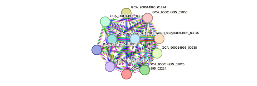 STRING protein interaction network