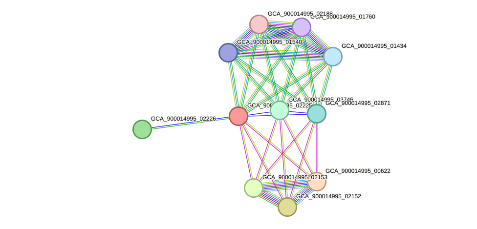 STRING protein interaction network