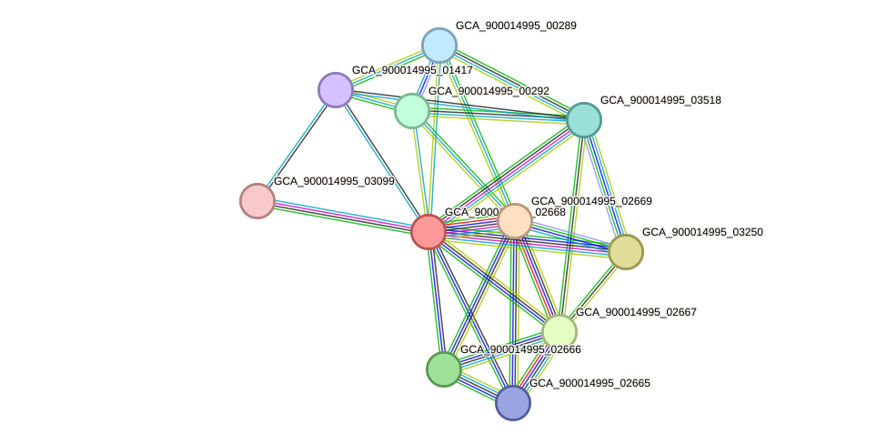 STRING protein interaction network