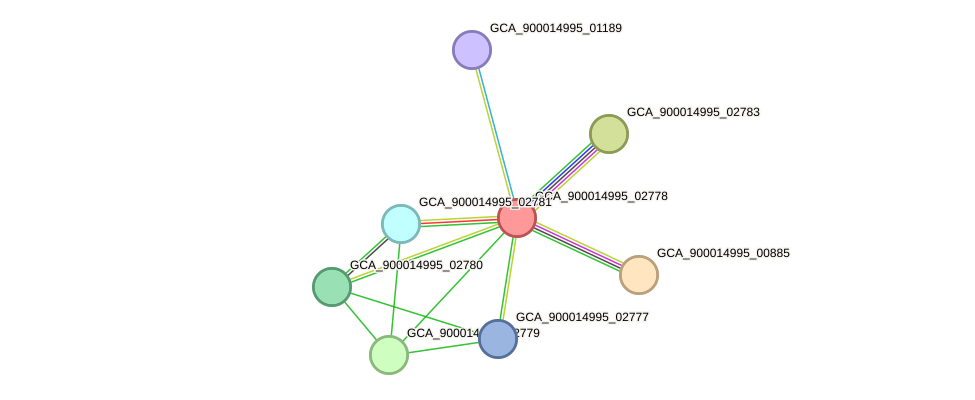 STRING protein interaction network