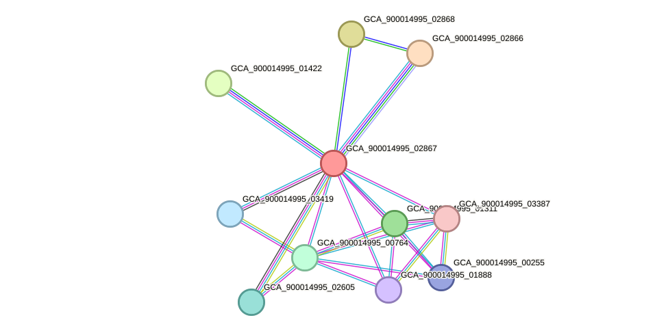 STRING protein interaction network