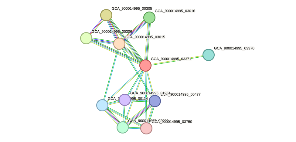 STRING protein interaction network