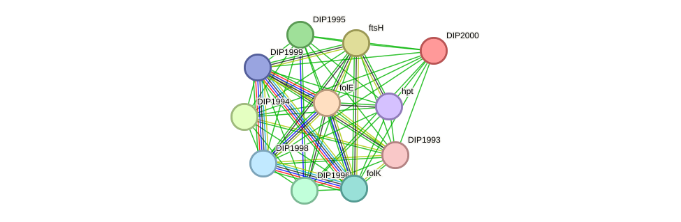 STRING protein interaction network