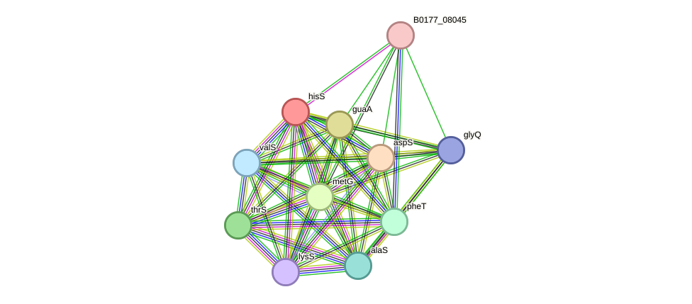 STRING protein interaction network