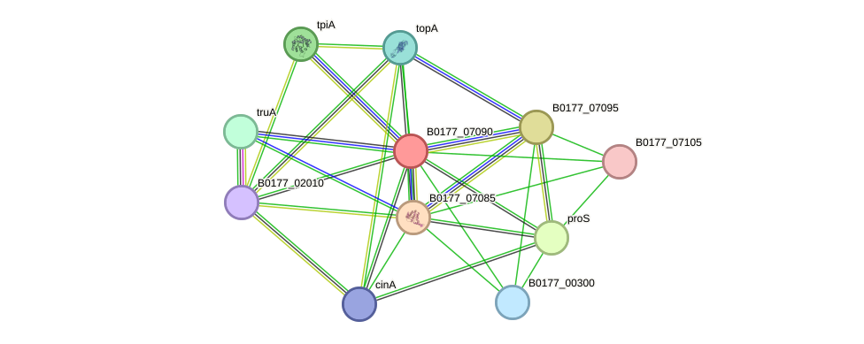 STRING protein interaction network