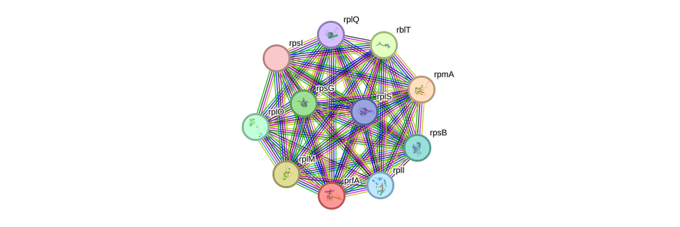 STRING protein interaction network