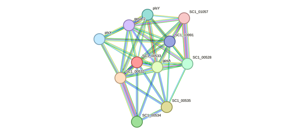 STRING protein interaction network