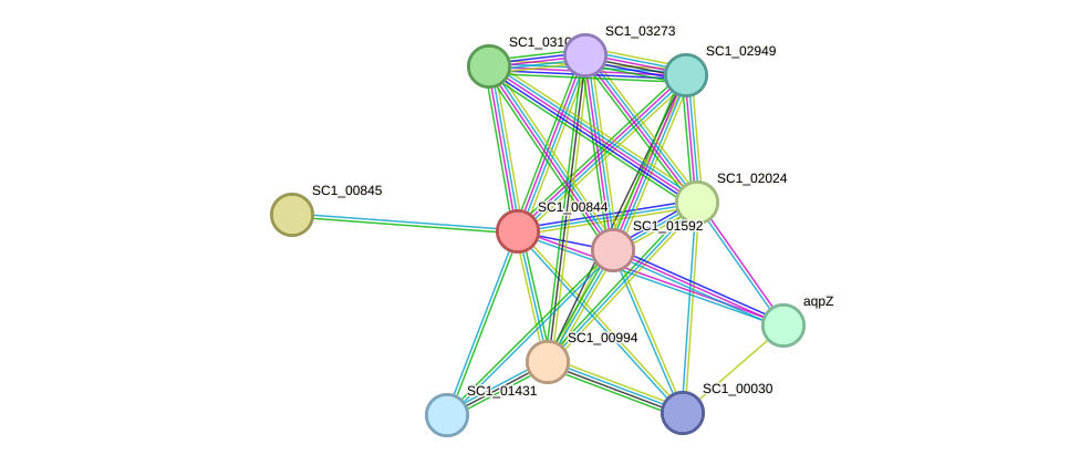 STRING protein interaction network