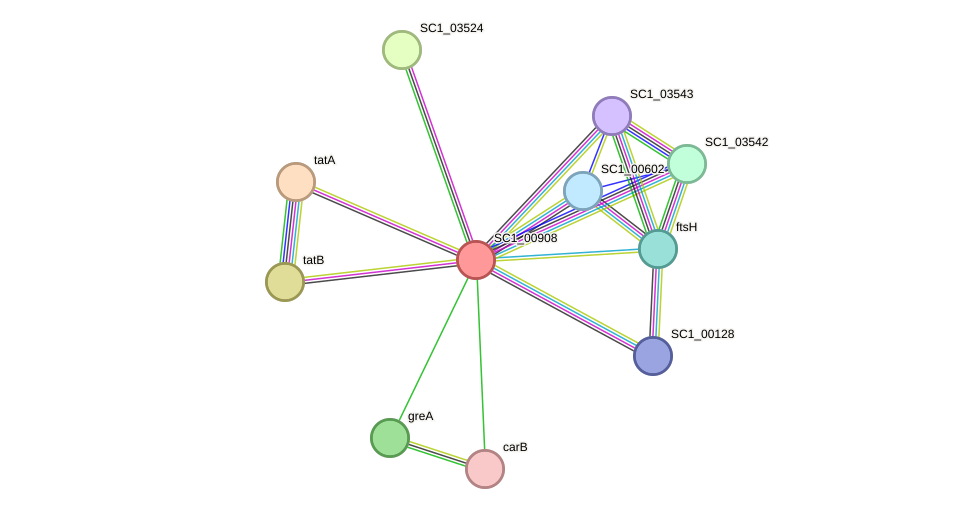 STRING protein interaction network