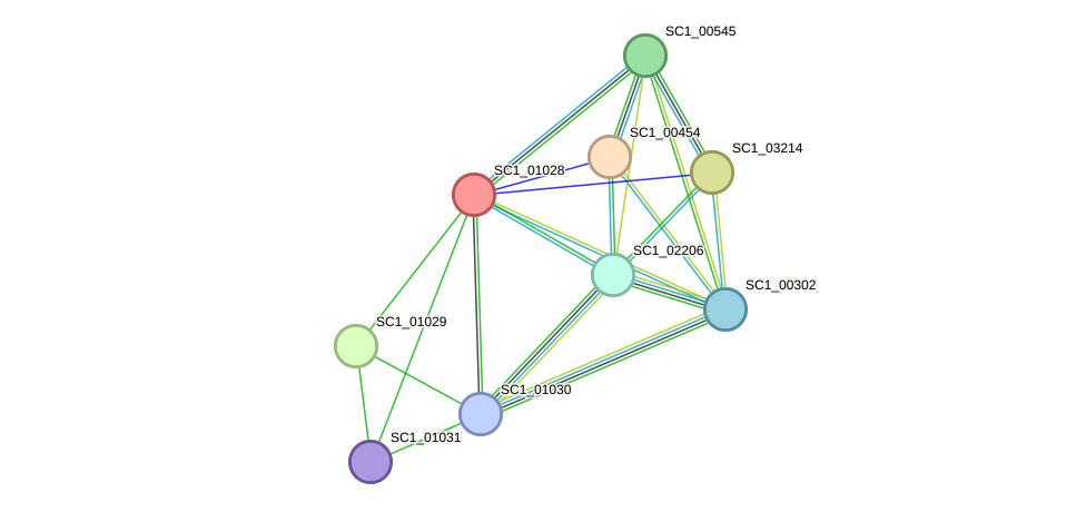 STRING protein interaction network