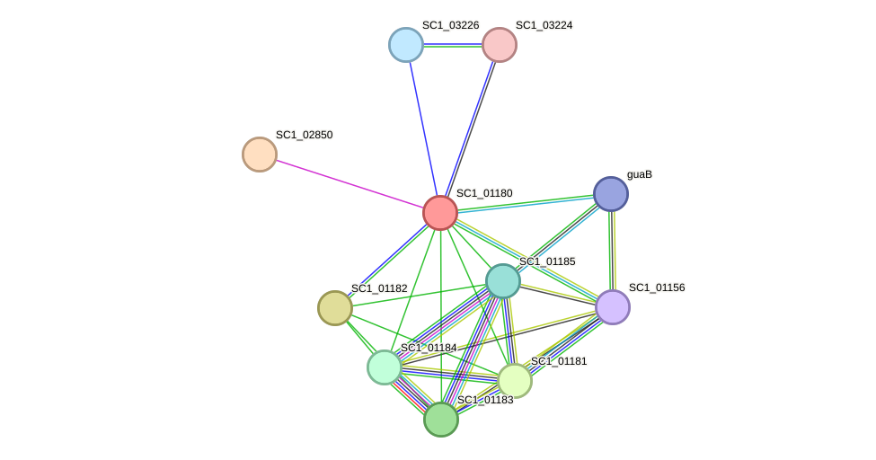 STRING protein interaction network