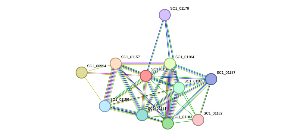 STRING protein interaction network