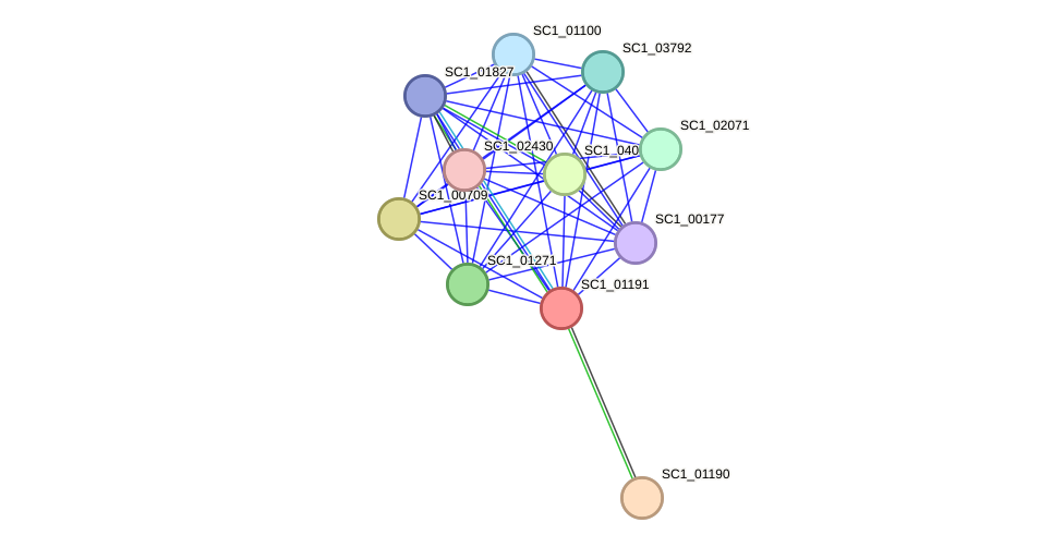 STRING protein interaction network