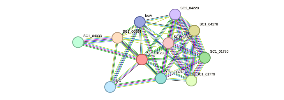 STRING protein interaction network