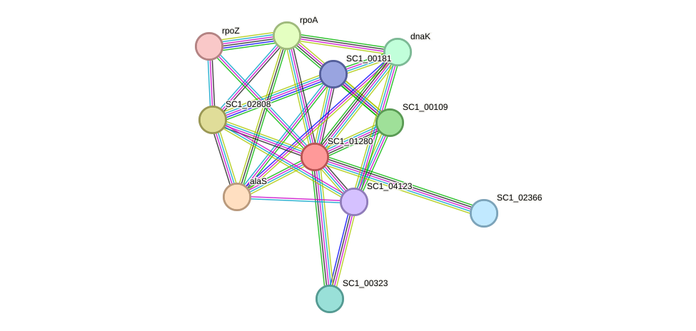 STRING protein interaction network