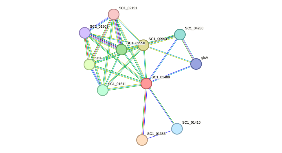 STRING protein interaction network