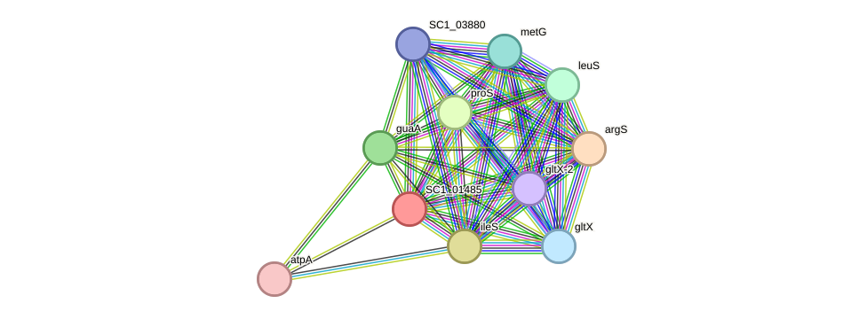 STRING protein interaction network