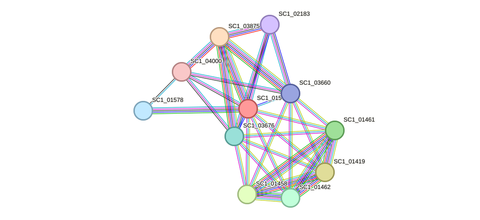 STRING protein interaction network