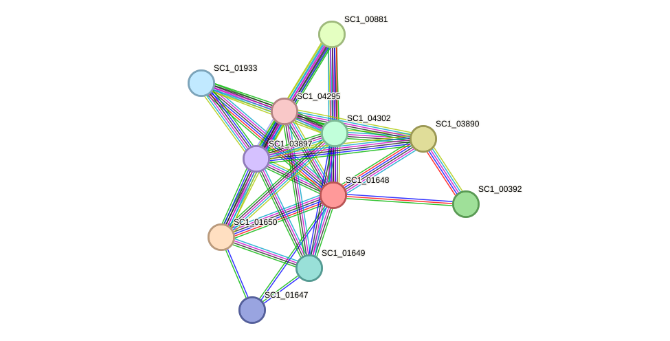 STRING protein interaction network