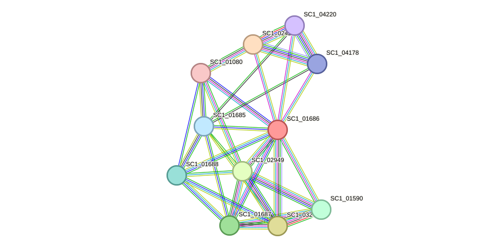 STRING protein interaction network