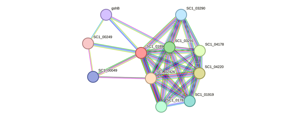 STRING protein interaction network