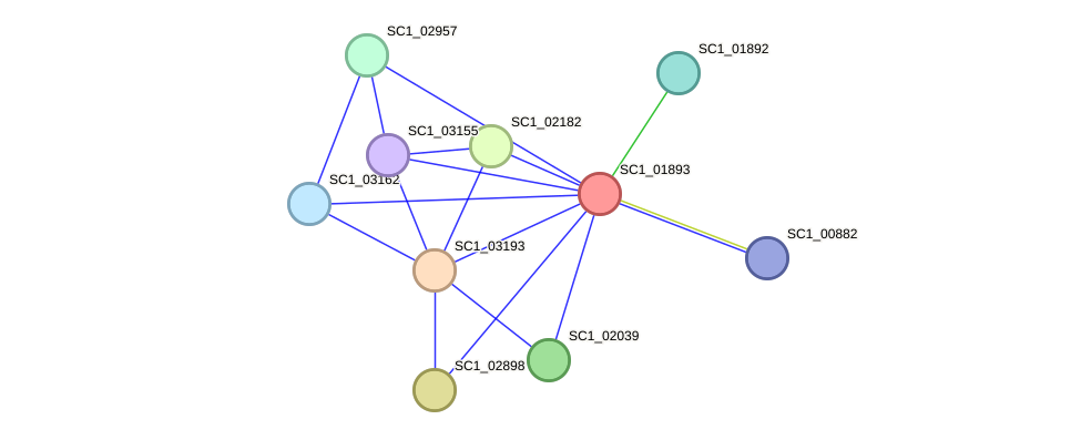 STRING protein interaction network