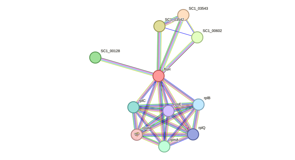 STRING protein interaction network