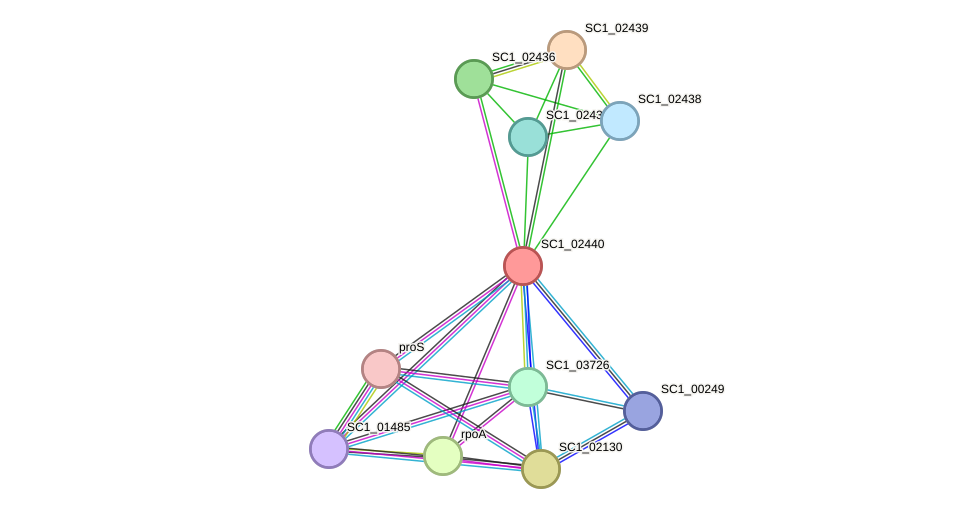 STRING protein interaction network