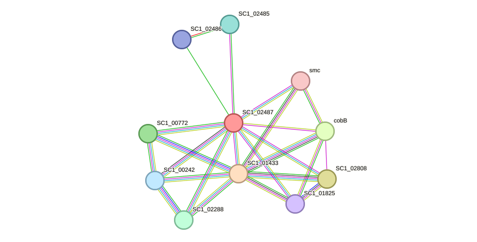 STRING protein interaction network