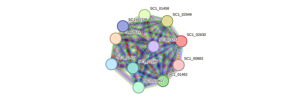 STRING protein interaction network